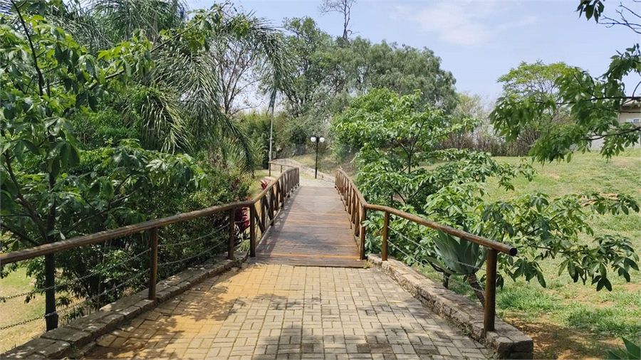Foto REO1134231