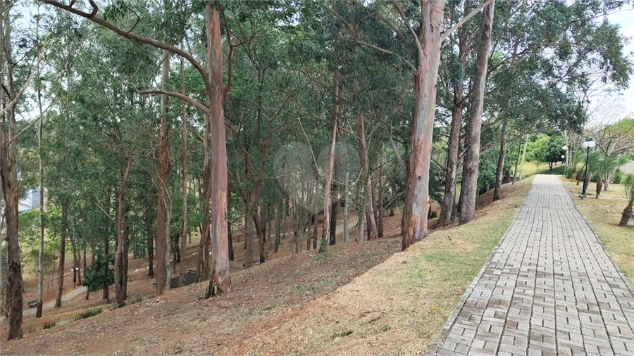 Foto REO1134231