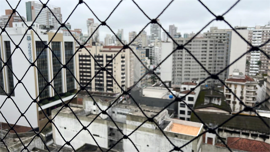 Foto REO1134237