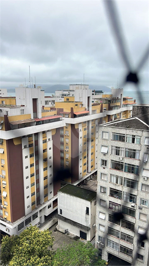 Foto REO1134237