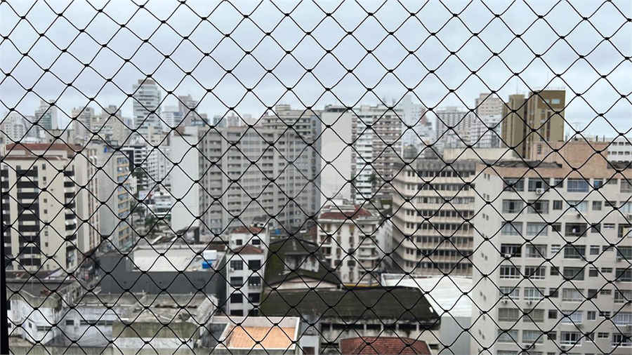 Foto REO1134237