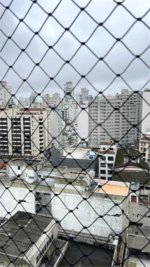Foto REO1134237