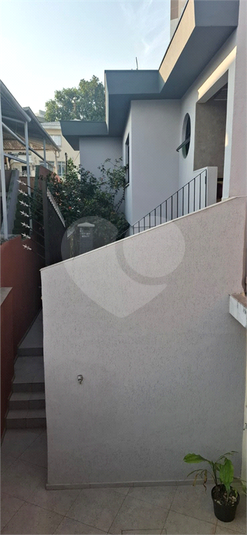 Foto REO1134240