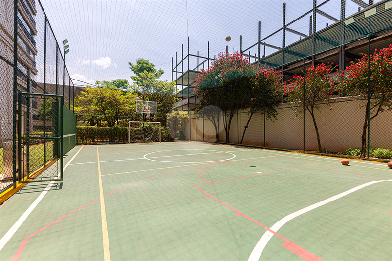 Foto REO1134246
