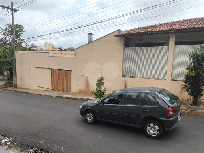 Foto REO1134250