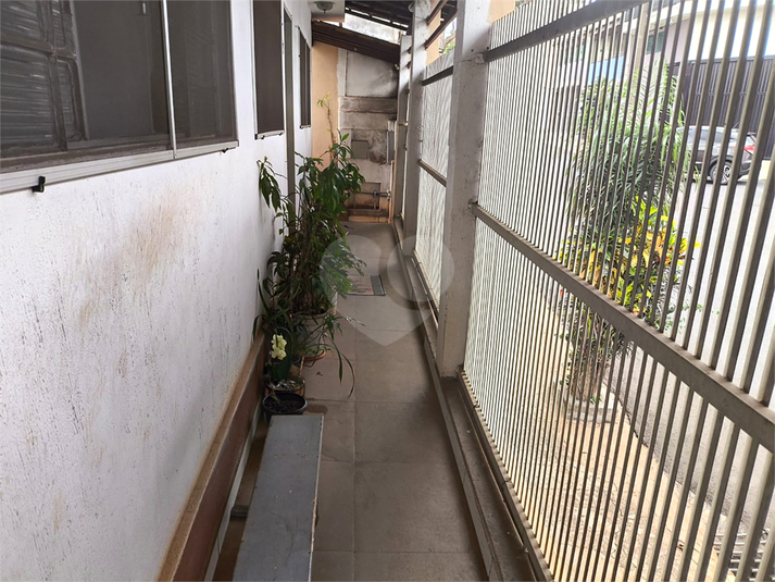 Foto REO1134250