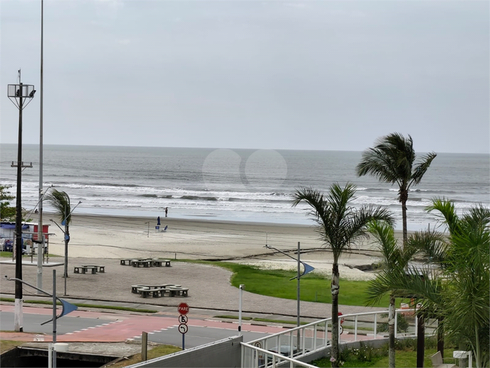 Foto REO1134257