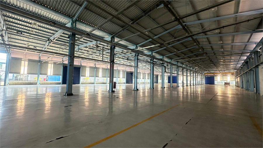 Foto REO1134266