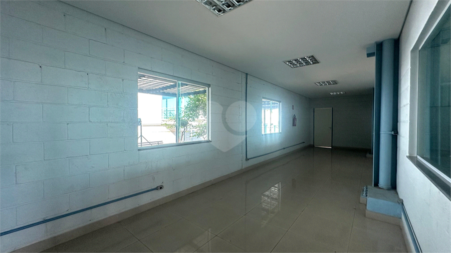 Foto REO1134266