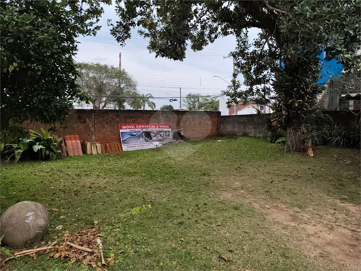 Foto REO1134275