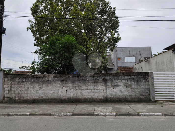 Foto REO1134275
