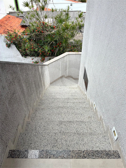 Foto REO1134283
