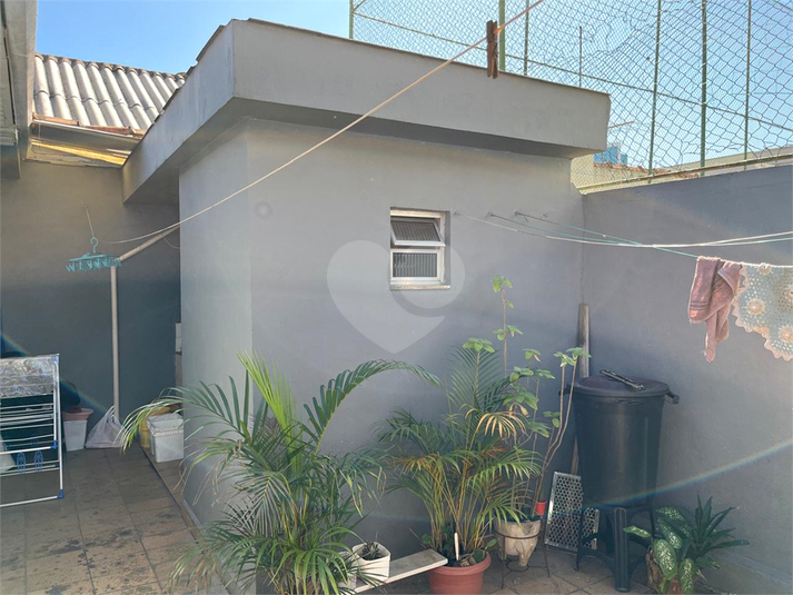 Foto REO1134317