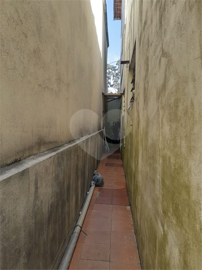 Foto REO1134322