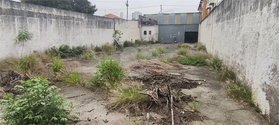 Foto REO1134336