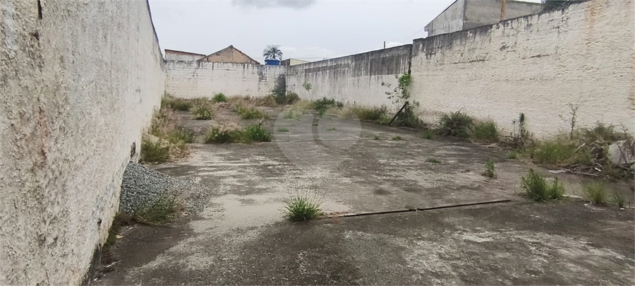 Foto REO1134336
