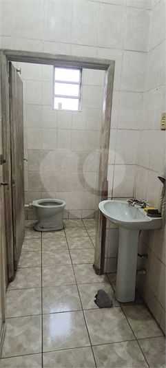 Foto REO1134336