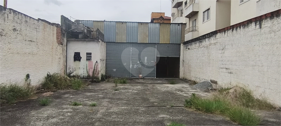 Foto REO1134336