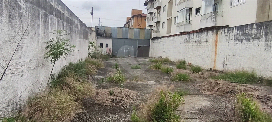 Foto REO1134336