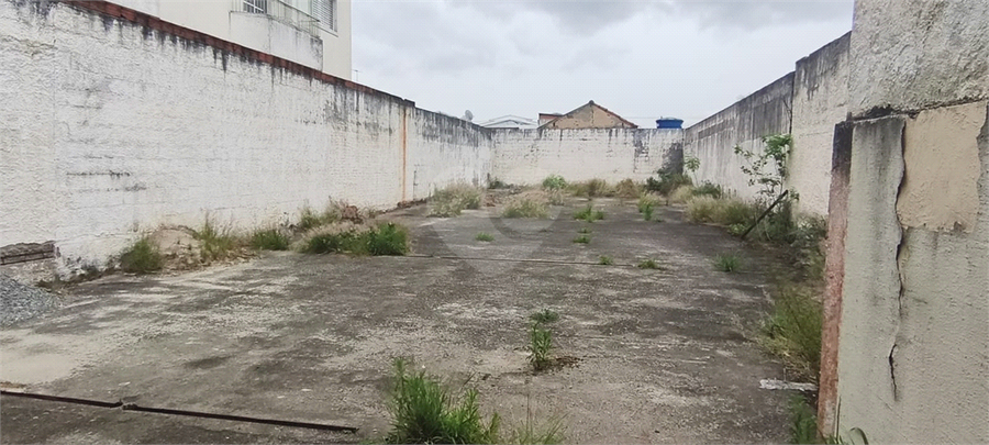 Foto REO1134336