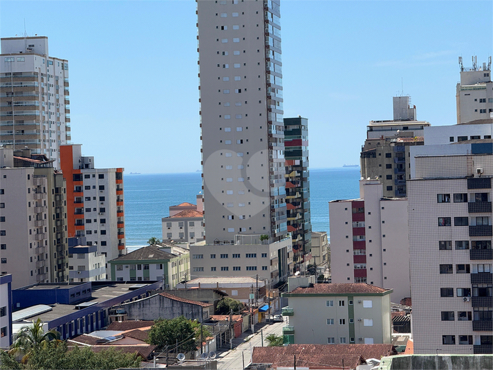 Foto REO1134340
