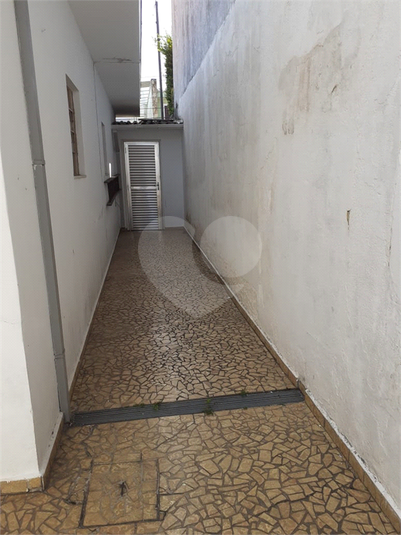Foto REO1134349