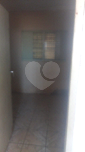 Foto REO1134356