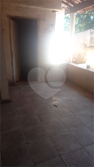 Foto REO1134356