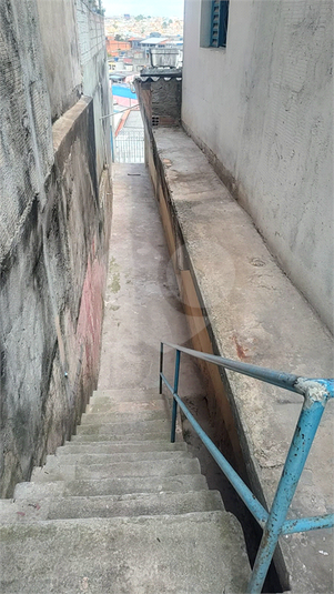 Foto REO1134359