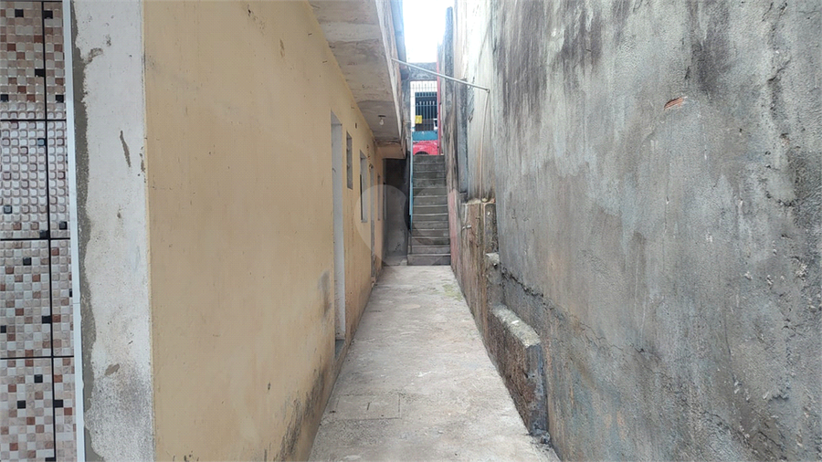 Foto REO1134359