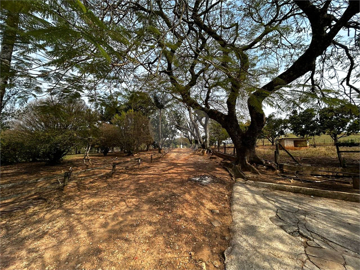 Foto REO1134375