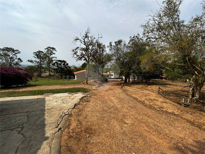 Foto REO1134375