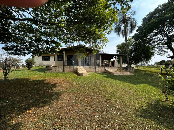Foto REO1134375