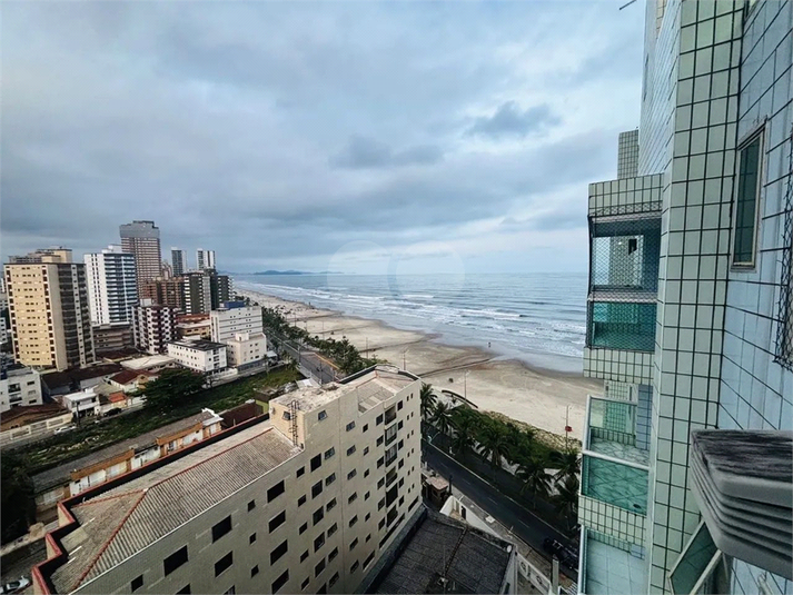 Foto REO1134377