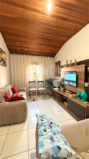Foto REO1134380
