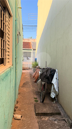 Foto REO1134380