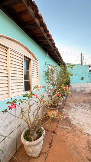 Foto REO1134380
