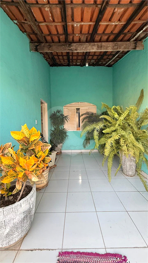 Foto REO1134380