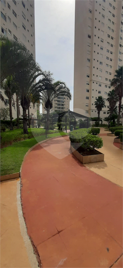 Foto REO1134383