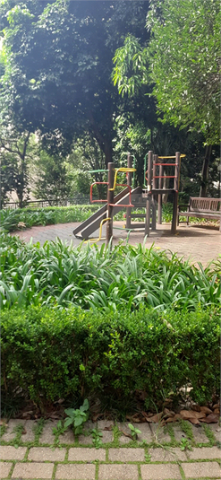 Foto REO1134383