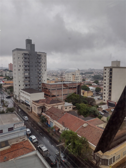 Foto REO1134432
