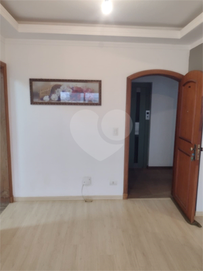 Foto REO1134432