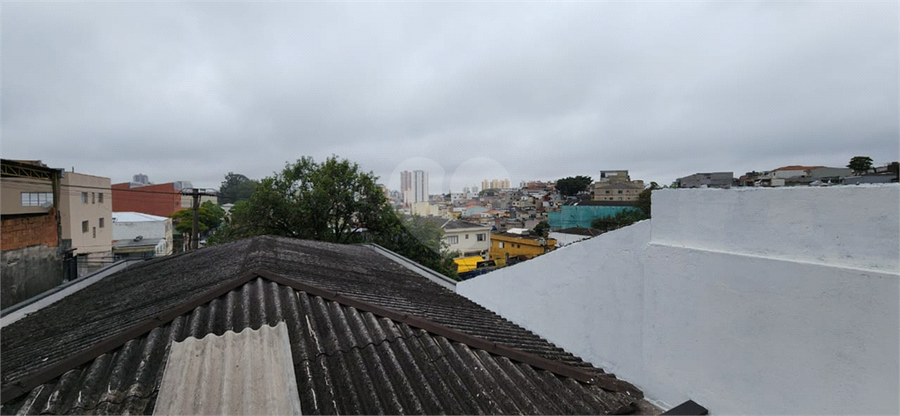 Foto REO1134442
