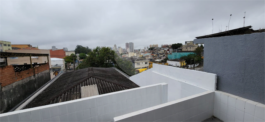 Foto REO1134442