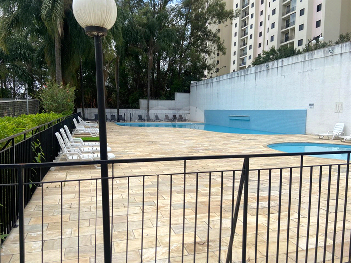 Foto REO1134445