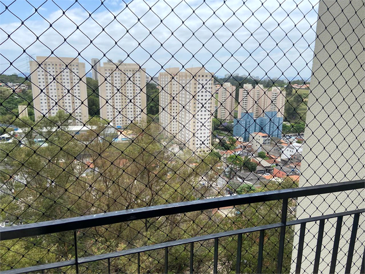 Foto REO1134445