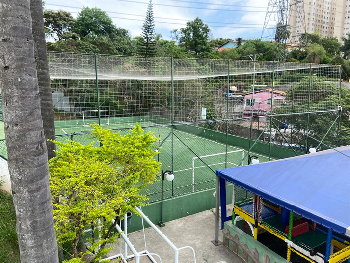 Foto REO1134445