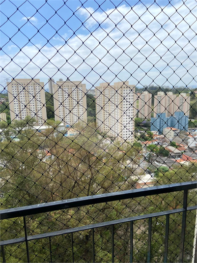 Foto REO1134445