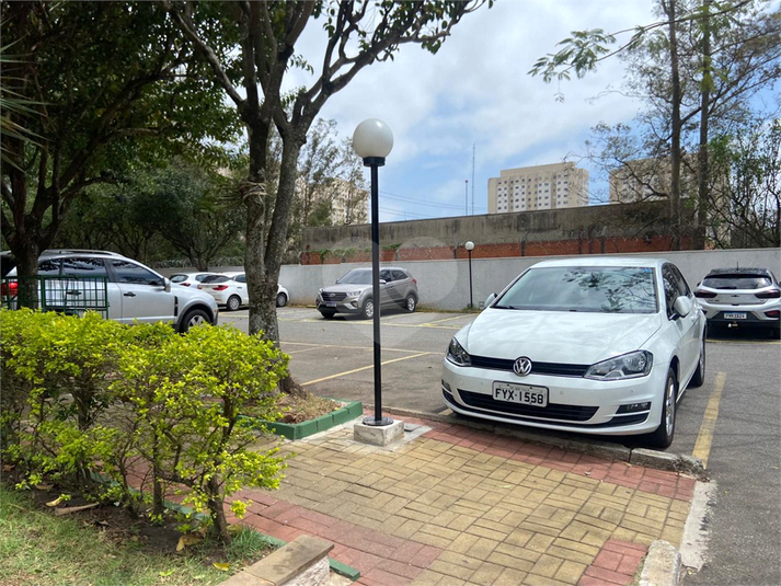 Foto REO1134445