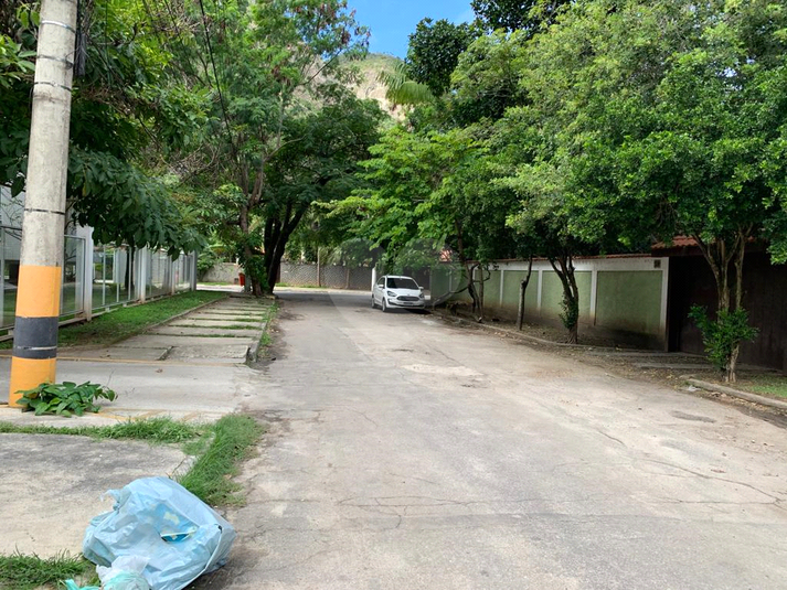 Foto REO1134451